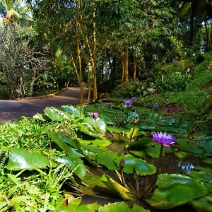 kandy-bungalow-by-amaya.kandyhotelsnow.com/